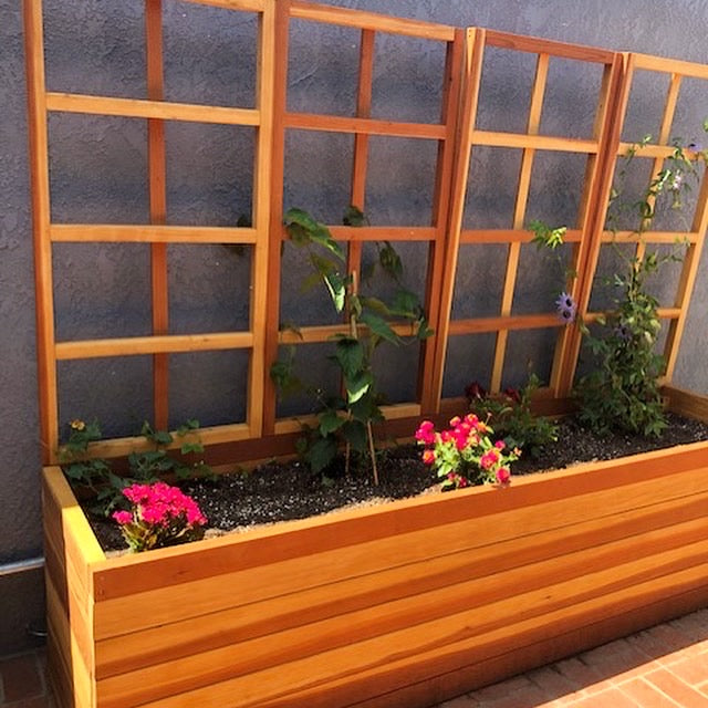 Best Redwood Planter Box