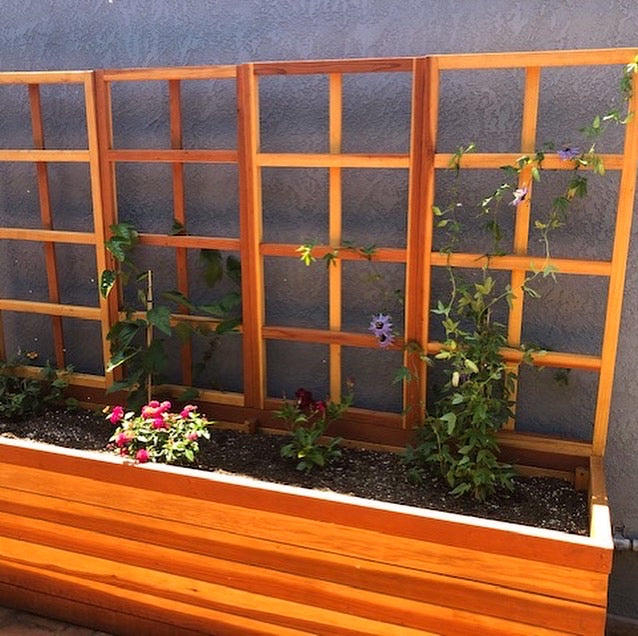 Best Redwood Planter Box