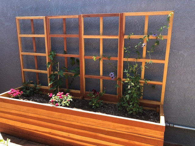 Best Redwood Planter Box